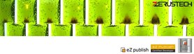 Standard website