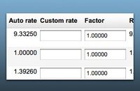 exchange rate management